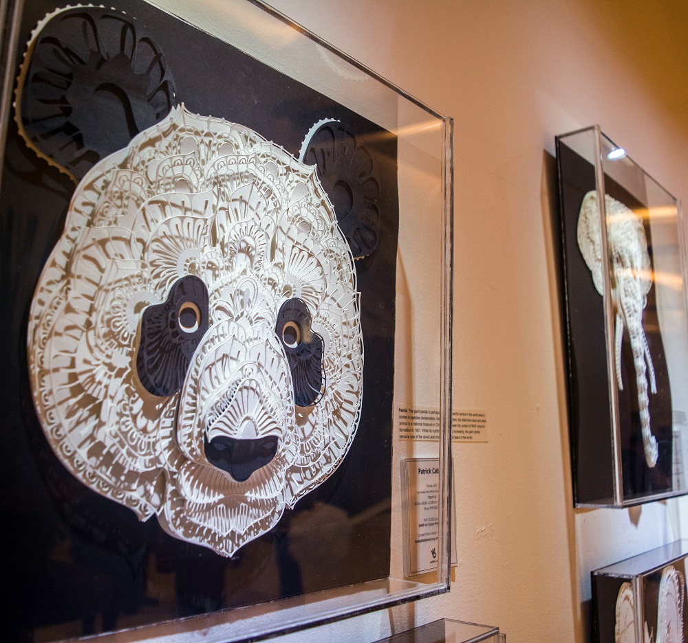 <h1>AOK Launches Solaire Exhibit</h1>
<p>One of the many environmental problems that our planet</p>
<p style="text-align: right;"><a href="https://archive.wwf.org.ph/resource-center/story-archives-2017/aok-exhibit-solaire/">Read More ></a></p>