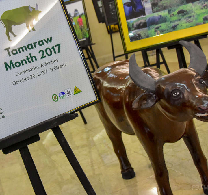 <h1>FEU Celebrates Tamaraw Month </h1>
<p>The event was the launch of a series of month-long </p>
<p style="text-align: right;"><a href="https://archive.wwf.org.ph/resource-center/story-archives-2017/feu-tamaraw-month-2017/">Read More ></a></p>