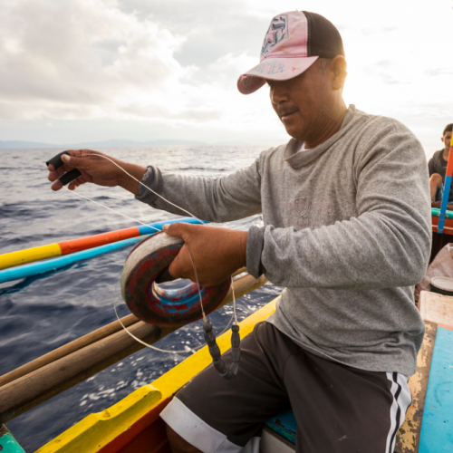 <h1>Aborlan in Palawan</h1>
<p style="text-align: right;"><a href="/what-we-do/food/aborlan">Read More ></a></p>