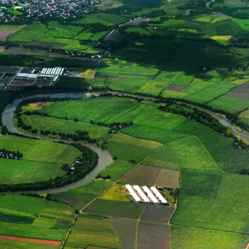 <h1>AgriClima</h1>
<p style="text-align: right;"><a href="/what-we-do/food/agriclima">Read More ></a></p>