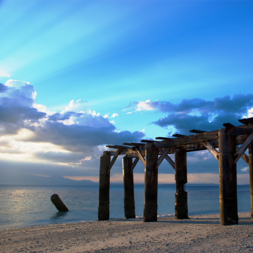 <h1>Davao Gulf</h1>
<p style="text-align: right;"><a href="/what-we-do/food/davaogulf">Read More ></a></p>