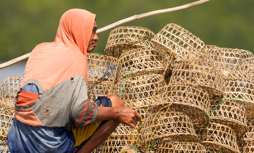 <h1>Sustainable Fisheries for Malampaya</h1>
<p>Situated south of Palawan’s El Nido and North of the</p>