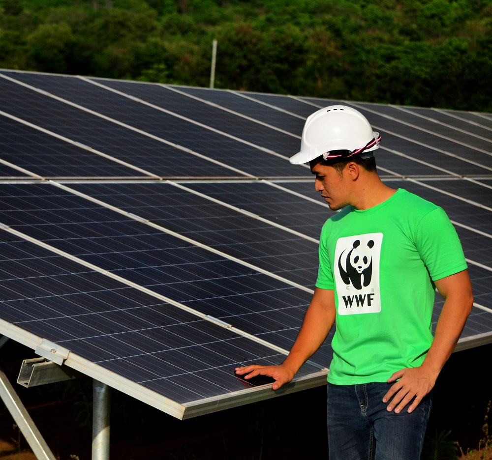 <h1>Rewnewables Best Way to Power PH</h1>
<p>For years, WWF-Philippines has advocated for </p>
<p style="text-align: right;"><a href="https://archive.wwf.org.ph/what-we-do/climate/renewables/renewables-to-power-ph-dev/">Read More ></a></p>