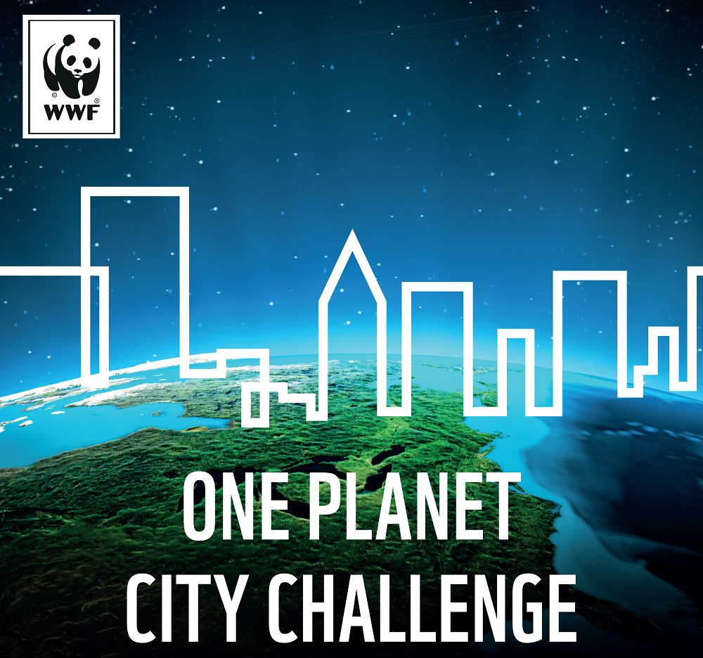 <h1>Ten PH Cities Qualify</h1>
<p>For this round of the 2017-2018 OPCC, four</p>
<p style="text-align: right;"><a href="https://archive.wwf.org.ph/what-we-do/climate/opcc/10-ph-cities-qualify-for-opcc-2017">Read More ></a></p>