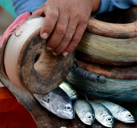 <h1>Tiding Over Tuna Fishers</h1>
<p>For the Philippines, tuna fishing is a seasonal activity – not just because tuna are highly-migratory fish, but because the country sits right at the center of ‘typhoon central’</p>
<p style="text-align: right;"><a href="https://archive.wwf.org.ph/what-we-do/food/pptst/tiding-over-tuna-fishers/">Read More ></a></p>