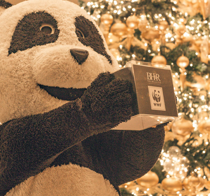 <h1>Bellevue Joins Just One</h1>
<p> The Just One Hotels Program is the latest in WWF-Philippines’</p>
<p style="text-align: right;"><a href="https://archive.wwf.org.ph/resource-center/story-archives-2017/bellevue-just-one/" target="_blank">Read More ></a></p>