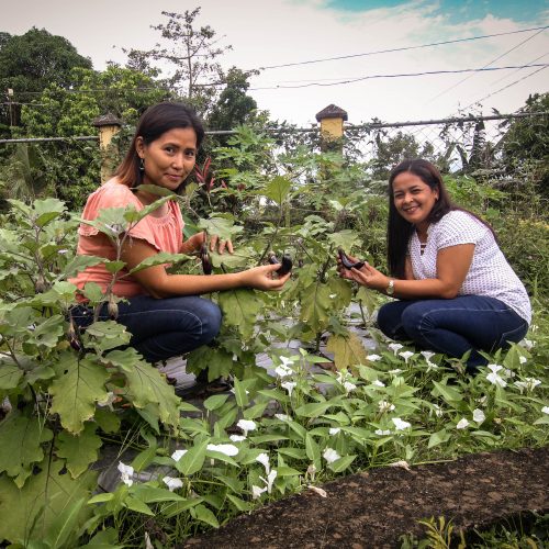 <h1>Sustainable Farm to Table</h1>
<p style="text-align: right;"><a href="https://archive.wwf.org.ph/what-we-do/food/sustainable-farm-to-table/">Read More ></a></p>