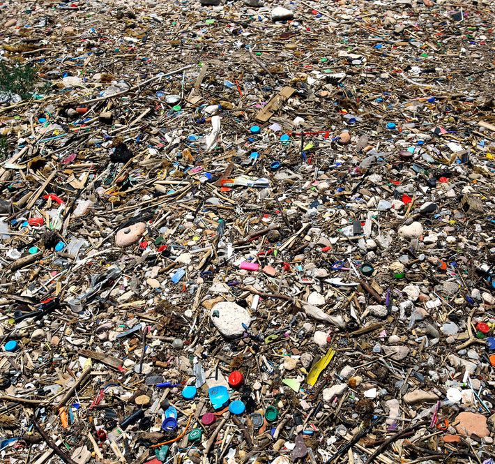 <h1>World leaders fail to address plastic crisis, says WWF</h1>
<p>World leaders have resoundingly failed in their duty to take action on the escalating </p>
<p style="text-align: right;"><a href="https://archive.wwf.org.ph/resource-center/story-archives-2019/world-leaders-plastic-crisis/" target="_blank">Read More ></a></p>