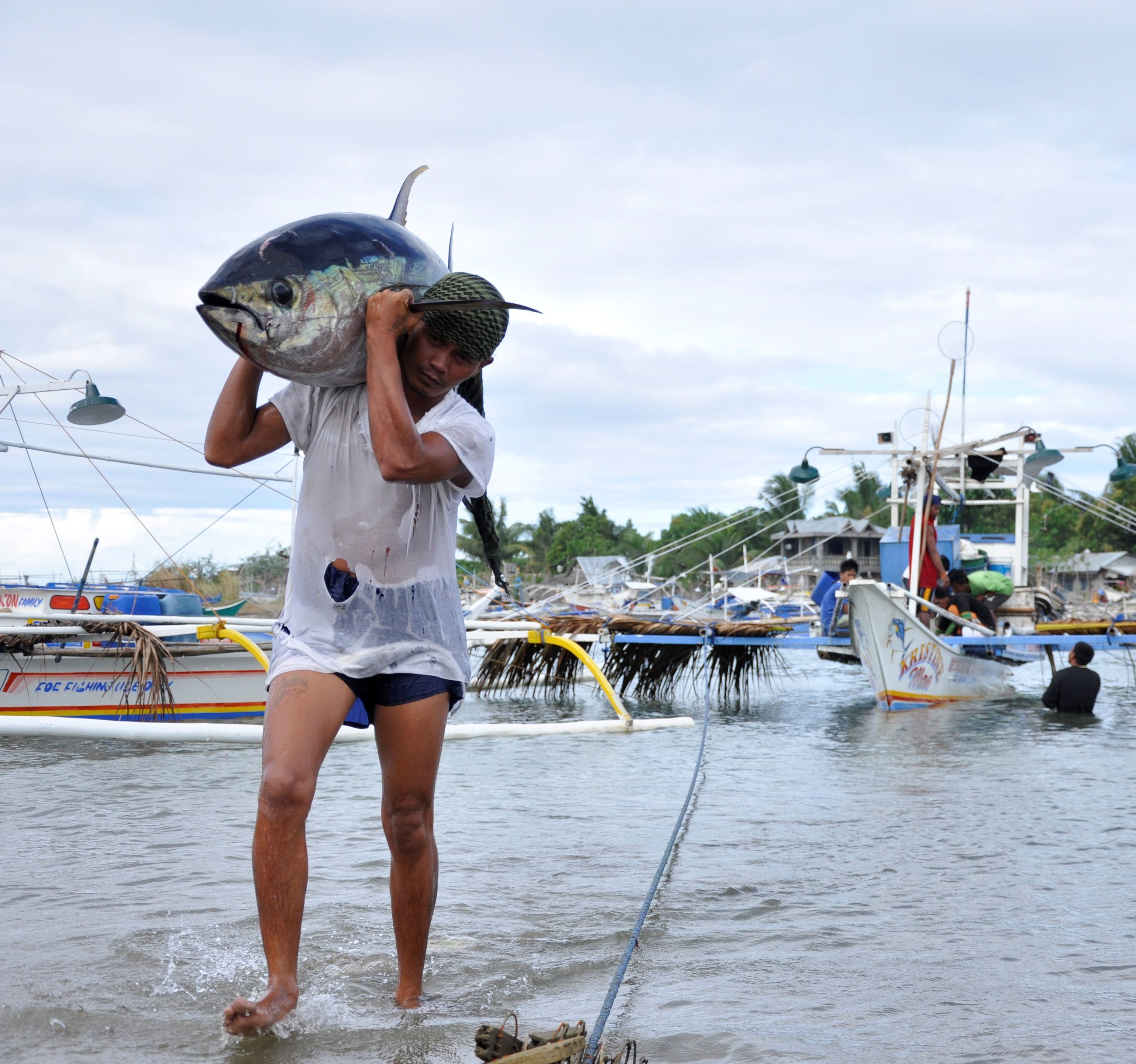 <h1>Mindoro Local Tuna Management Plan Launch</h1>
<p>May 2, 2019 saw the launch of the Mindoro Strait Tuna Fisheries Management Plan </p>
<p style="text-align: right;"><a href="https://archive.wwf.org.ph/what-we-do/food/stp/mindoro-strait-local-tuna-management-plan/" target="_blank">Read More ></a></p>