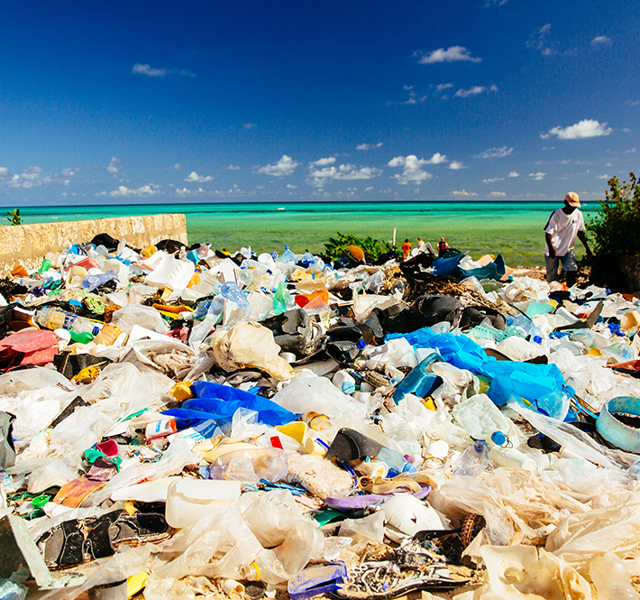 <h1>Revealed: Plastic Ingestion by People Could be Equating to a Credit Card a Week</h1>
<p>A new study finds on average people could be ingesting approximately 5 grams of plastic every week, which is the equivalent weight of a credit card./p>
<p style="text-align: right;"><a href="https://archive.wwf.org.ph/resource-center/story-archives-2019/plastic-diet-press-release/" target="_blank">Read More ></a></p>