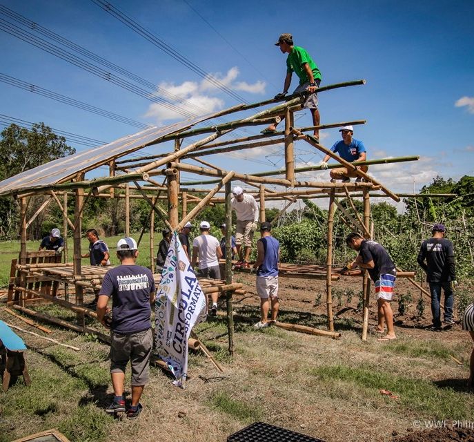 <h1>Food Shed Constructed with Pernod Ricard</h1>
<p>Hope builds for the sustainable futures of rural communities as the first food sheds rise in Luzon,</p>
<p style="text-align: right;"><a href="https://archive.wwf.org.ph/resource-center/story-archives-2019/pernod-ricard-food-shed-luzon/">Read More ></a></p>