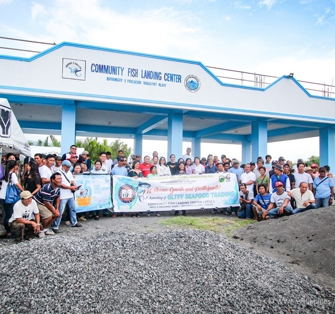 <h1>Bicol Small-Scale Tuna Fishers Launch Seafood Hub</h1>
<p>The Gulf of Lagonoy Tuna Fishers Federation, Inc. (GLTFFI) took their first steps towards</p>
<p style="text-align: right;"><a href="https://archive.wwf.org.ph/resource-center/story-archives-2019/malilipot-seafood-hub/">Read More ></a></p>