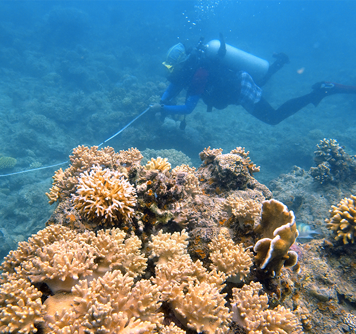 <h1>WWF-Philippines Pursues Expanded Conservation Efforts for Ticao Pass
</h1>
<p>From the 14th to 15th of August, staff from the World Wide Fund for Nature (WWF) Philippines/p>
<p style="text-align: right;"><a href="https://archive.wwf.org.ph/resource-center/story-archives-2019/ticaopassconservation/" target="_blank">Read More ></a></p>