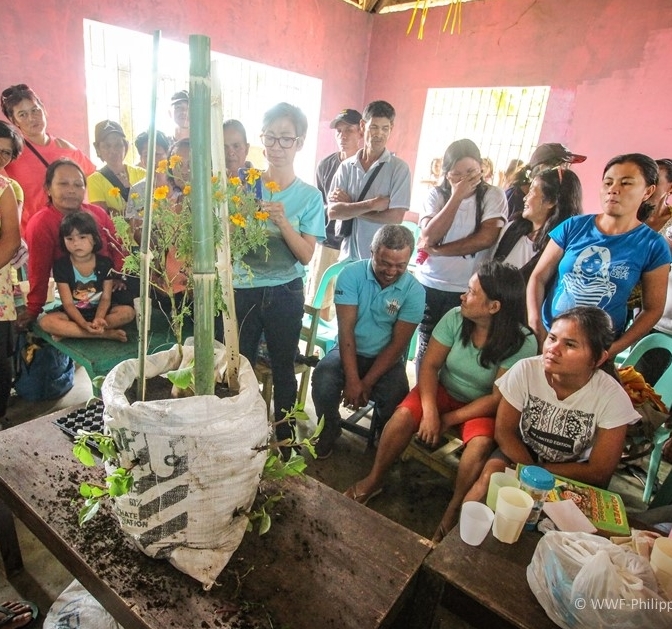 <h1>Sack Gardens and the Shape of Farming
</h1>
<p>When you think of farms, you think of row upon row of crops propped up side by side. </p>
<p style="text-align: right;"><a href="https://archive.wwf.org.ph/resource-center/story-archives-2019/sack-gardening-with-wwf-philippines/" target="_blank" rel="noopener noreferrer">Read More ></a></p>