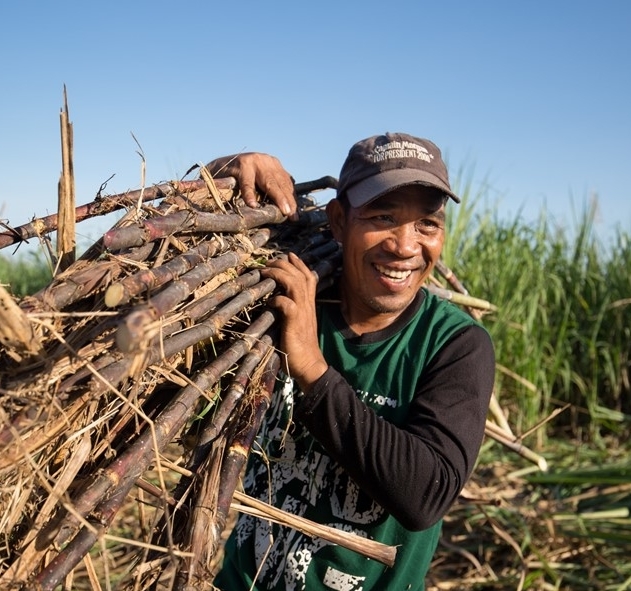 <h1>New Study Provides Suggestions for Climate-Proofing Sugarcane Farmers</h1>
<p>A recent study from the World Wide Fund for Nature (WWF) Philippines has recommended</p>
<p style="text-align: right;"><a href="https://archive.wwf.org.ph/resource-center/story-archives-2019/climate-change-effects-on-sugar-cane/" target="_blank" rel="noopener noreferrer">Read More ></a></p>