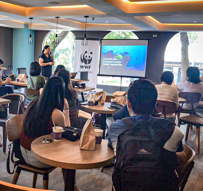 <h1>The Sustainability Community Comes Together for the Third Conservation Conversation</h1>
<p>Pandas and panda supporters alike came together on the 21st of September at Coffee Bean and Tea Leaf/p>
<p style="text-align: right;"><a href="https://archive.wwf.org.ph/resource-center/story-archives-2019/2nd-conservation-conversation/" target="_blank" rel="noopener noreferrer">Read More ></a></p>