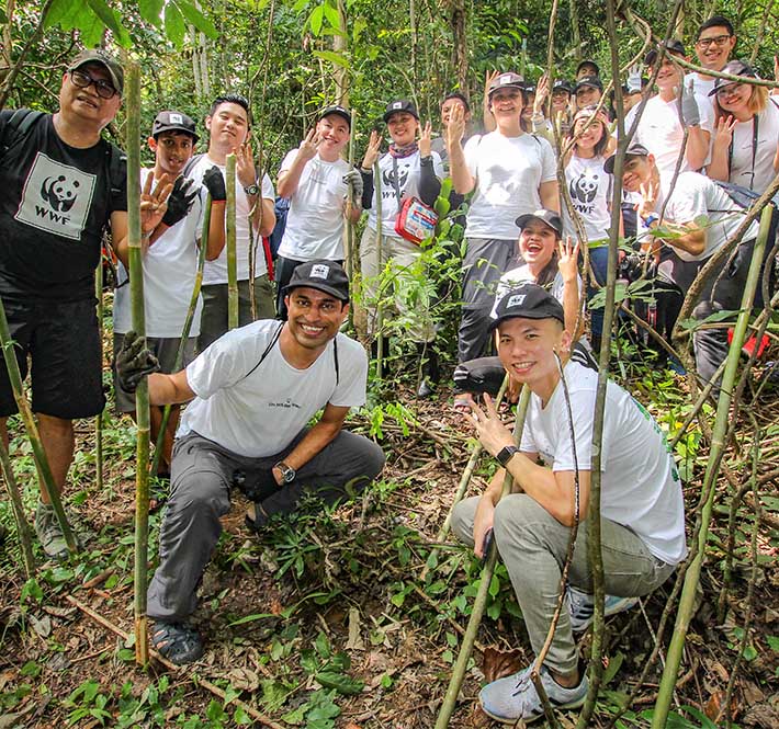 <h1>WWF-Philippines, GCash Have Planted 4,200 Seedlings in Ipo Watershed Throughout 2019</h1>
<p>Through a joint commitment between GCash/p>
<p style="text-align: right;"><a href="https://archive.wwf.org.ph/resource-center/story-archives-2019/4200-seedlings-gcash-ipo/" target="_blank" rel="noopener noreferrer">Read More ></a></p>