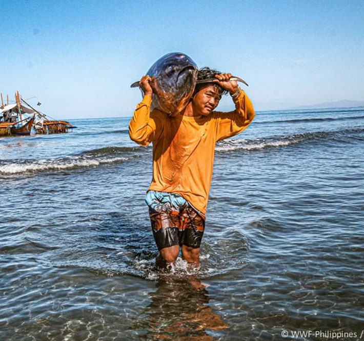 <h1>WWF-Philippines Launches Philippine Tuna Handline Partnership</h1>
<p>The first foundations for small-scale, sustainably-sourced tuna in the/p>
<p style="text-align: right;"><a href="https://archive.wwf.org.ph/resource-center/story-archives-2020/philippine-tuna-handline-partnership/" target="_blank" rel="noopener noreferrer">Read More ></a></p>