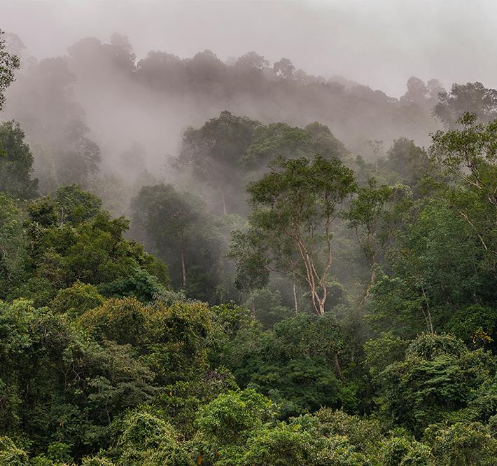 <h1>WWF-Philippines and Partners Collaborate for the Earth Day 2020 Movement Online</h1>
<p>On the 22nd of April, the World Wide Fund for Nature (WWF) Philippines and/p>
<p style="text-align: right;"><a href="https://archive.wwf.org.ph/resource-center/story-archives-2020/earth-day-2020/" target="_blank" rel="noopener noreferrer">Read More ></a></p>