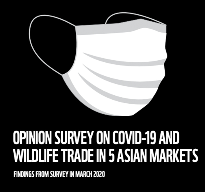<h1>Public calls for governments to close S.E Asia’s wildlife markets in response to COVID-19</h1>
<p>This World Health Day, as the world grapples with the worst public health/p>
<p style="text-align: right;"><a href="https://archive.wwf.org.ph/resource-center/story-archives-2020/globescan-survey/" target="_blank" rel="noopener noreferrer">Read More ></a></p>