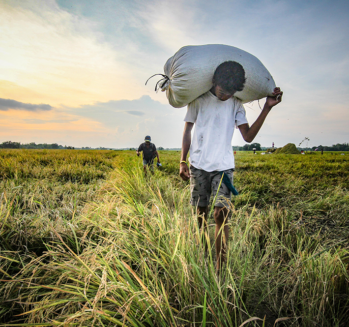 <h1>In this time of pandemic, we need to help feed those who feed us</h1>
<p>A pandemic has taken the world by surprise./p>
<p style="text-align: right;"><a href="https://archive.wwf.org.ph/resource-center/story-archives-2020/pandemic-fishermen-farmers/" target="_blank" rel="noopener noreferrer">Read More ></a></p>