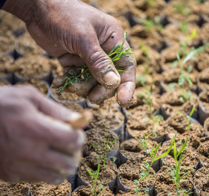 <h1>The “New Normal” can—and must—be a green one</h1>
<p>Businesses have ground to a halt all across the country in /p>
<p style="text-align: right;"><a href="https://archive.wwf.org.ph/resource-center/story-archives-2020/the-new-normal/" target="_blank" rel="noopener noreferrer">Read More ></a></p>