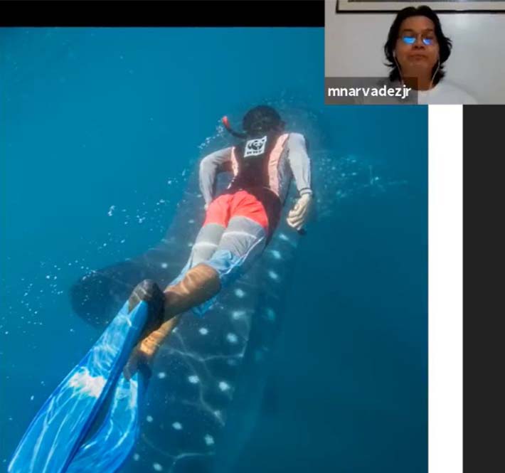 <h1>Panda Talks continue to shed light on conservation this May!</h1>
<p>Faithful to its aim of equipping the Filipino people with knowledge on key environmental issues/p>
<p style="text-align: right;"><a href="https://archive.wwf.org.ph/resource-center/story-archives-2020/panda-talks-may/" target="_blank" rel="noopener noreferrer">Read More ></a></p>