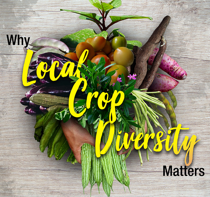 <h1>Why Local Crop Diversity Matters</h1>
<p>As we are all interconnected with each other, both humans and all other living organisms/p>
<p style="text-align: right;"><a href="https://archive.wwf.org.ph/resource-center/story-archives-2020/local-crop-diversity/" target="_blank" rel="noopener noreferrer">Read More ></a></p>