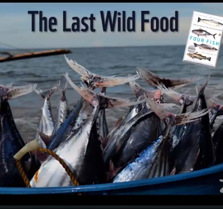 <h1>PaNaGaT Network Celebrates World Oceans Day with Launch of New Book</h1>
<p>The Pangingisda Natin Gawing Tama (PaNaGaT) Network launched their book,/p>
<p style="text-align: right;"><a href="https://archive.wwf.org.ph/resource-center/story-archives-2020/panagat-book-launch/" target="_blank" rel="noopener noreferrer">Read More ></a></p>