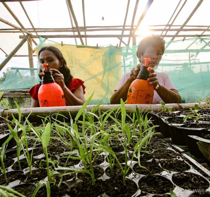 <h1>Communal Gardening Could Help Solve our Food Crisis in this COVID-19 World</h1>
<p>A survey from the Social Weather Station revealed that 4.2 million Filipinos experienced/p>
<p style="text-align: right;"><a href="https://archive.wwf.org.ph/resource-center/story-archives-2020/communal-gardening-food-crisis/" target="_blank" rel="noopener noreferrer">Read More ></a></p>