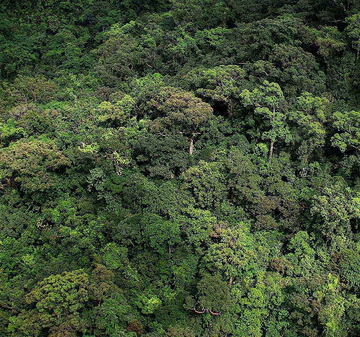 <h1>Statement on Death Threats Received by WWF National Youth Council Member Deign Soriano</h1>
<p>WWF-Philippines strongly condemns the anonymous death threats sent to Deign Soriano, a member of its National Youth/p>
<p style="text-align: right;"><a href="https://archive.wwf.org.ph/resource-center/story-archives-2020/statement-on-threats-nyc/" target="_blank" rel="noopener noreferrer">Read More ></a></p>