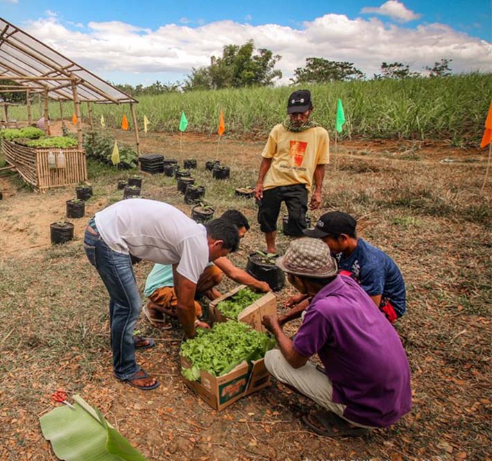 <h1>SONA 2020: Towards a Green Recovery for the Philippines</h1>
<p>We live in unprecedented times. The COVID-19 pandemic is an existential threat to human life/p>
<p style="text-align: right;"><a href="https://archive.wwf.org.ph/resource-center/story-archives-2020/sona2020-towards-a-green-recovery/" target="_blank" rel="noopener noreferrer">Read More ></a></p>