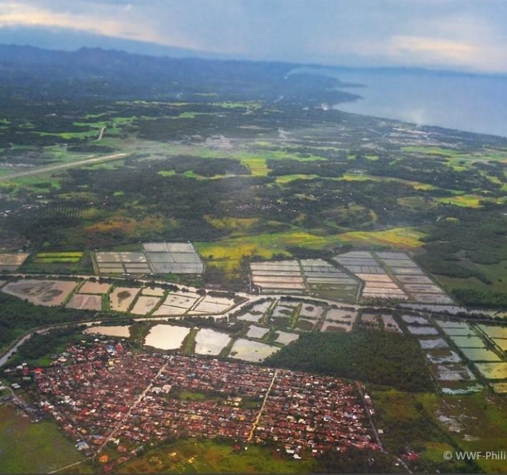<h1>FInRE-BXU Program a Good Example of Local Government Participation in Energy Planning</h1>
<p>The World Wide Fund for Nature (WWF) Philippines, together with the LGU of Butuan participated in a virtual forum on/p>
<p style="text-align: right;"><a href="https://archive.wwf.org.ph/resource-center/story-archives-2020/finre-energy-planning/" target="_blank" rel="noopener noreferrer">Read More ></a></p>
