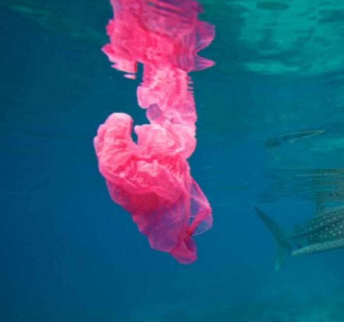 <h1>NGOs and businesses call for UN treaty on plastic pollution</h1>
<p>Major businesses issued a call today for a UN treaty on plastic pollution to address /p>
<p style="text-align: right;"><a href="https://archive.wwf.org.ph/resource-center/story-archives-2020/un-treaty-on-plastic-pollution/" target="_blank" rel="noopener noreferrer">Read More ></a></p>