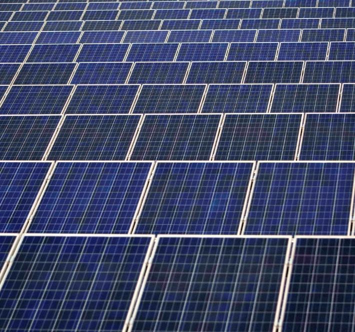 <h1>Statement on the Department of Energy Declaring Moratorium on Endorsements for New Coal Power Plants</h1>
<p>WWF-Philippines welcomes the decision of the Department of Energy (DOE), through Energy/p>
<p style="text-align: right;"><a href="https://archive.wwf.org.ph/resource-center/story-archives-2020/statement-on-doe-endorsements-coal-power-plants/" target="_blank" rel="noopener noreferrer">Read More ></a></p>