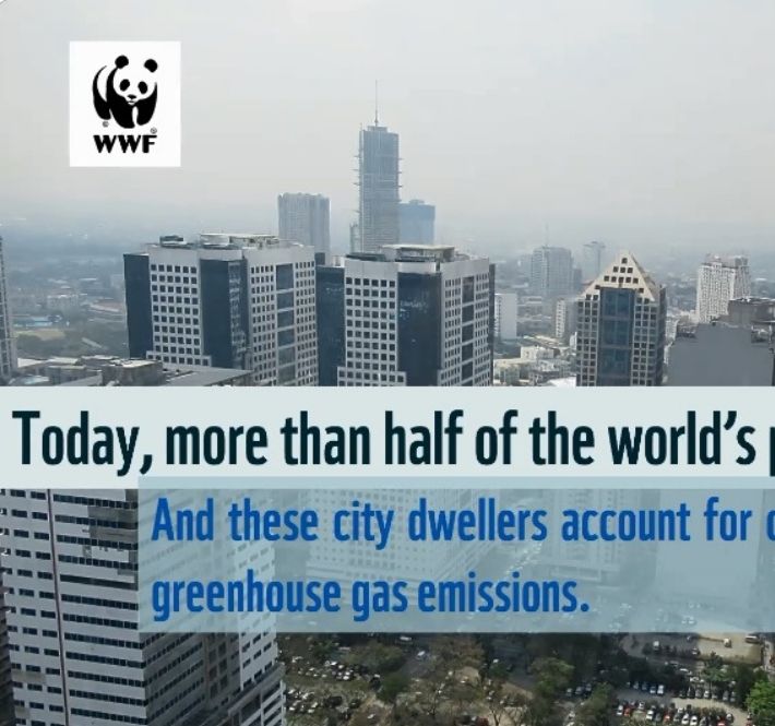 <h1>Local sustainable urban development champions recognized in OPCC Awarding Ceremony 2020</h1>
<p>13 cities across the country were awarded on December 9 in the first-ever virtual run of the World Wide Fund for Nature (WWF)</p>
<p style="text-align: right;"><a href="https://archive.wwf.org.ph/resource-center/story-archives-2020/sustainable-urban-development-champions-opcc-awarding-ceremony/" target="_blank" rel="noopener noreferrer">Read More ></a></p>