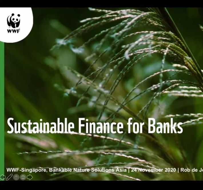 <h1>WWF Network Discusses the Future of Sustainable Finance in the Face of Climate Change</h1>
<p>Experts from the World Wide Fund for Nature (WWF) and the United Nations Environment</p>
<p style="text-align: right;"><a href="https://archive.wwf.org.ph/resource-center/story-archives-2020/future-of-sustainable-finance-in-climate-change/" target="_blank" rel="noopener noreferrer">Read More ></a></p>