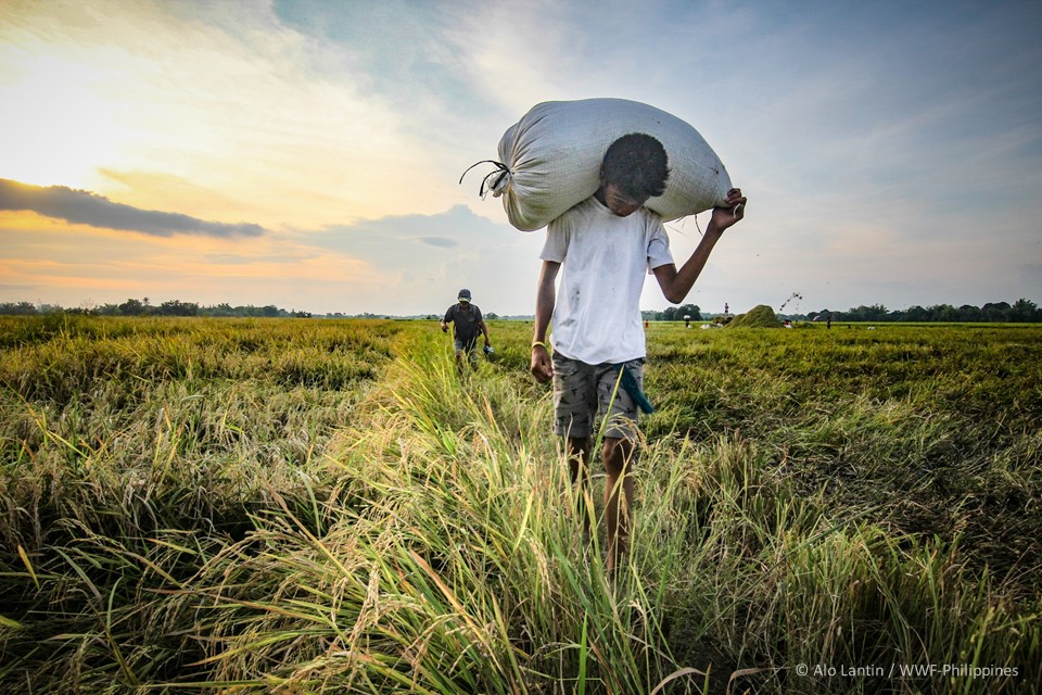 WWF-Philippines | We need to act on our climate commitments – now