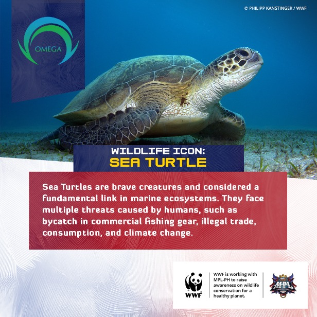 WWF-Philippines | WWF-Philippines teams up with MPL-Philippines to ...