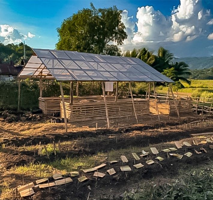 <h1>Bohol Farmers’ Association receives support from DOLE for agri-business expansion</h1>
<p>Alejawan Microsavers and Gardeners Association (AMAGA) receives livelihood support from</p>
<p style="text-align: right;"><a href="https://archive.wwf.org.ph/resource-center/story-archives-2021/bohol-farmers-association-receives-support/" target="_blank" rel="noopener noreferrer">Read More ></a></p>