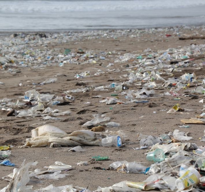 <h1>Startup entrepreneurs join pitch for plastic pollution-free future in partnership with WWF Philippines</h1>
<p>The World Wide Fund for Nature (WWF) Philippines partners with The Incubation Network</p>
<p style="text-align: right;"><a href="https://archive.wwf.org.ph/resource-center/story-archives-2021/pitch-for-plastic-pollution-free-future/" target="_blank" rel="noopener noreferrer">Read More ></a></p>