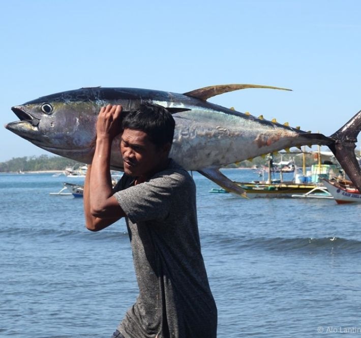 <h1>In ocean conservation, we must look at people, too</h1>
<p>A 2018 report from the United Nations Food and Agriculture Organization (UN FAO) found that over 30% of the worlds’</p>
<p style="text-align: right;"><a href="https://archive.wwf.org.ph/resource-center/story-archives-2021/in-ocean-conservation/" target="_blank" rel="noopener noreferrer">Read More ></a></p>