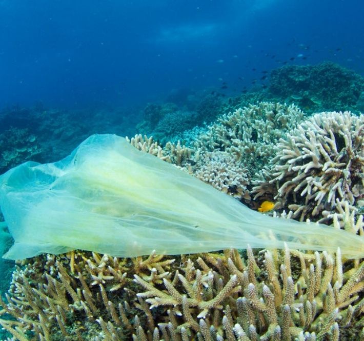 <h1>WWF-PH lauds gov’t endorsement of UN declaration for dev’t of global treaty vs. plastic pollution</h1>
<p>World Wide Fund for Nature (WWF) Philippines welcomes the Philippine government’s</p>
<p style="text-align: right;"><a href="https://archive.wwf.org.ph/resource-center/story-archives-2021/global-treaty-vs-plastic-pollution/" target="_blank" rel="noopener noreferrer">Read More ></a></p>