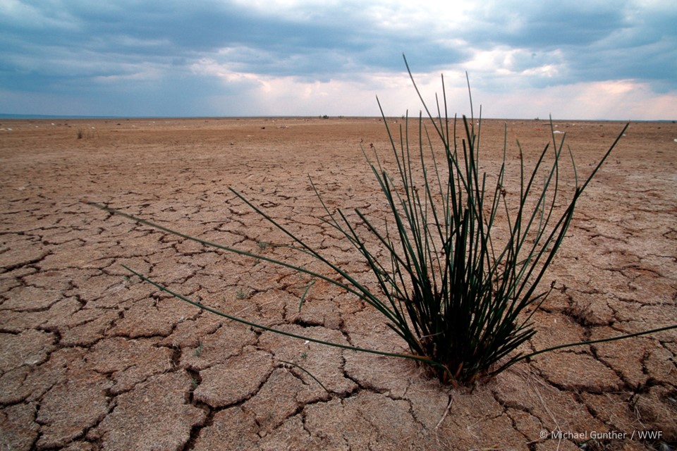 IPCC Report Statement - Michael Gunther, WWF