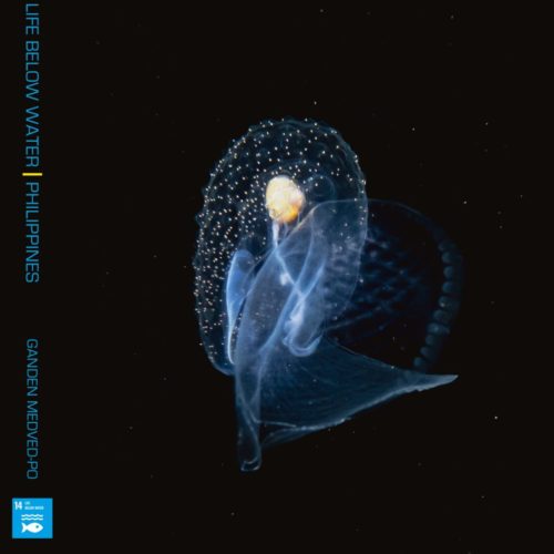 <h1> 17-year old photographer launches book for the benefit of WWF
 </h1>
<p> The ocean covers about 70 percent of the Earth’s surface, serving as a home to diverse and breathtaking underwater gardens and marine wildlife. Truly, there is much to be discovered in the vast underwater world, and 17-year old photographer Ganden Medved-Po will give us a glimpse of its beauty as he unveils his “Life Below Water” ocean photography book.
 </p>
<p style="text-align: right;"><a href="https://archive.wwf.org.ph/resource-center/story-archives-2021/17-year-old-photographer-launches-book-for-the-benefit-of-wwf/" target="_blank" rel="noopener noreferrer">Read More ></a></p>