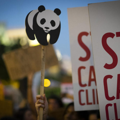 <h1> WWF-Philippines: COP 26 is one of our final chances to Change the Ending for people and planet
 </h1>
<p> The 26th United Nations Climate Change Conference of the Parties (COP26) happening in Glasgow, Scotland, is one of the very few COPs before 2030
 </p>
<p style="text-align: right;"><a href="https://archive.wwf.org.ph/resource-center/story-archives-2021/wwf-philippines-cop26-statement/" target="_blank" rel="noopener noreferrer">Read More ></a></p>