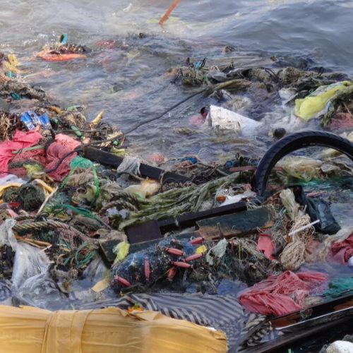 <h1>Over 700 Groups Call for an International Plastics Treaty
</h1>
<p>Civil society, Indigenous Peoples, Workers and Trade Unions, Youth, Women’s Organizations Urge UN Member States to negotiate a Global Legally Binding Agreement to Address the Plastics Crisis
</p>
<p style="text-align: right;"><a href="https://archive.wwf.org.ph/resource-center/story-archives-2021/over-700-groups-call-for-an-international-plastics-treaty/" target="_blank" rel="noopener noreferrer">Read More ></a></p>
