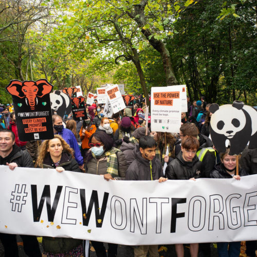 <h1>The climate crisis should be on the agenda of candidates in the 2022 elections </h1>
<p>Political candidates in the 2022 national elections must put the climate crisis on their agenda and ensure that the Philippines complies with our international commitments, environmental group WWF-Philippines said.</p>
<p style="text-align: right;"><a href="https://archive.wwf.org.ph/resource-center/story-archives-2021/the-climate-crisis-should-be-on-the-agenda-of-candidates-in-the-2022-elections/" target="_blank" rel="noopener noreferrer">Read More ></a></p>