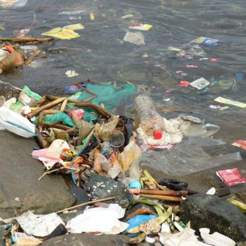 <h1> Plastic pollution reaching Philippine waters equivalent to 14 Titanics. WWF’s three-year project with Grieg foundation, a Norwegian foundation, aims to reduce the waste by 50%</h1>
<p style="text-align: right;"><a href="https://archive.wwf.org.ph/resource-center/story-archives-2022/plastic-pollution-reaching-philippine-waters-equivalent-to-14-titanics-wwfs-three-year-project-with-grieg-foundation-a-norwegian-foundation-aims-to-reduce-the-waste-by-50/" target="_blank" rel="noopener noreferrer">Read More ></a></p>