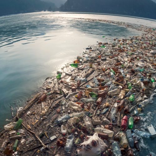 <h1> Ocean plastic pollution to quadruple by 2050, pushing more areas to exceed ecologically dangerous threshold of microplastic concentration</h1>
<p style="text-align: right;"><a href="https://archive.wwf.org.ph/resource-center/story-archives-2022/ocean-plastic-pollution-to-quadruple-by-2050-pushing-more-areas-to-exceed-ecologically-dangerous-threshold-of-microplastic-concentration/" target="_blank" rel="noopener noreferrer">Read More ></a></p>